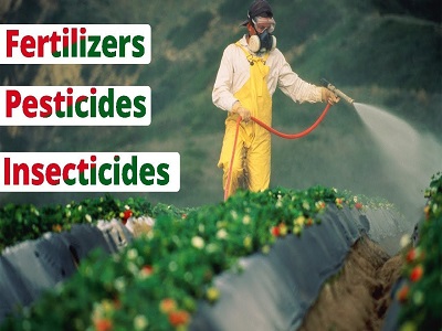 Pesticides Cancer